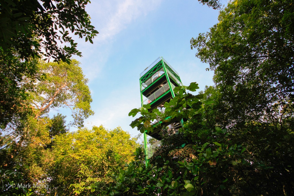 Jelutong Tower瞭望塔